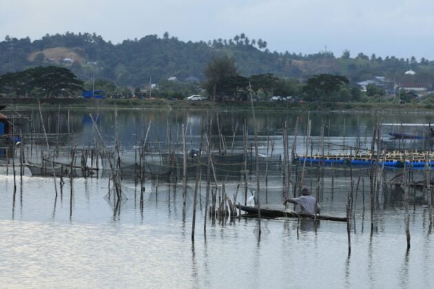 Nelayan Memberi Pakan Ikan Di Waduk Lhokseumawe