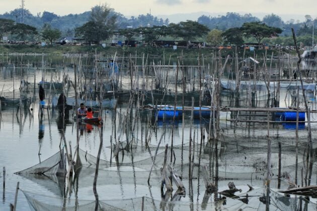 Nelayan Memberi Pakan Ikan Di Waduk Lhokseumawe