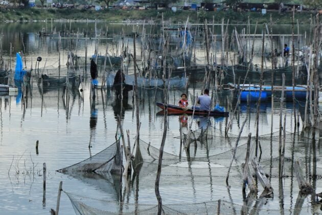 Nelayan Memberi Pakan Ikan Di Waduk Lhokseumawe