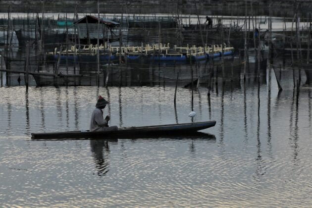 Nelayan Memberi Pakan Ikan Di Waduk Lhokseumawe