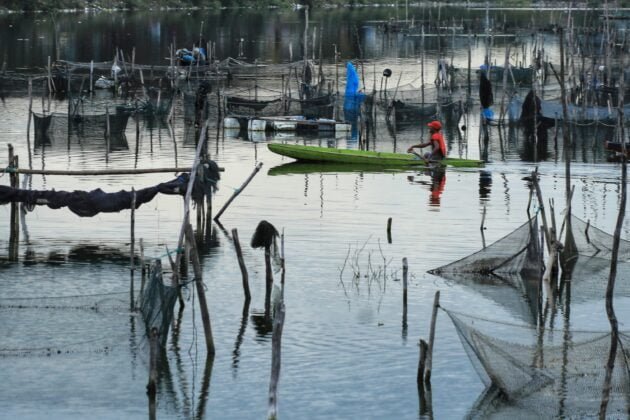 Nelayan Memberi Pakan Ikan Di Waduk Lhokseumawe