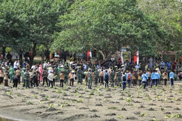 [Foto]: Aksi Pangdam Menanam Seribu Mangrove Bersama Warga