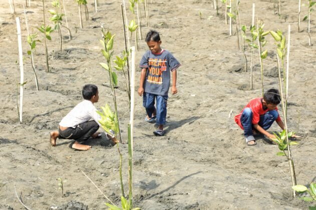 [Foto]: Aksi Pangdam Menanam Seribu Mangrove Bersama Warga