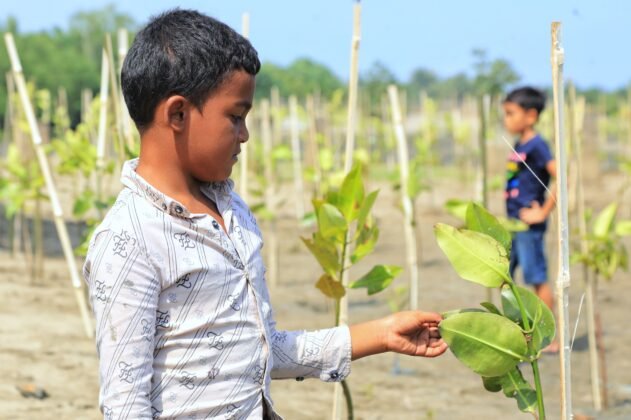 [Foto]: Aksi Pangdam Menanam Seribu Mangrove Bersama Warga