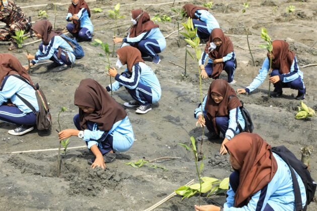 [Foto]: Aksi Pangdam Menanam Seribu Mangrove Bersama Warga