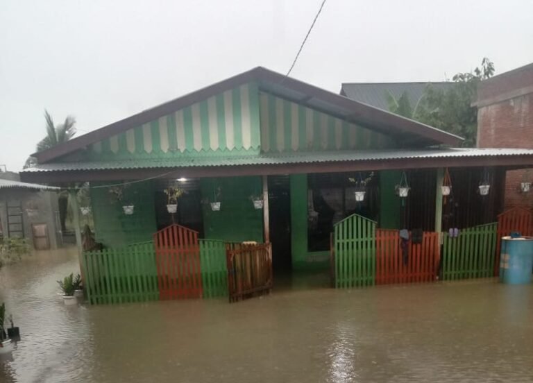 Puluhan Gampong Terendam Banjir di Aceh Timur, Satu Rumah Rusak Ringan