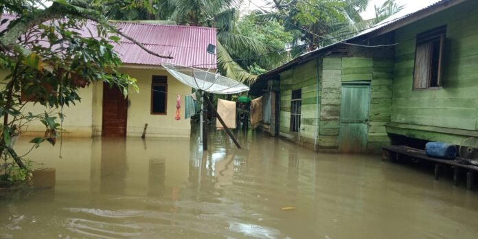 13 Kecamatan di Aceh Timur Dikepung Banjir, 3.519 Jiwa Mengungsi