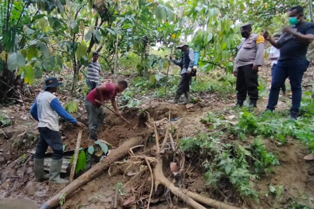 [Foto]: Dua Ekor Gajah Ditemukan Mati Di Aceh