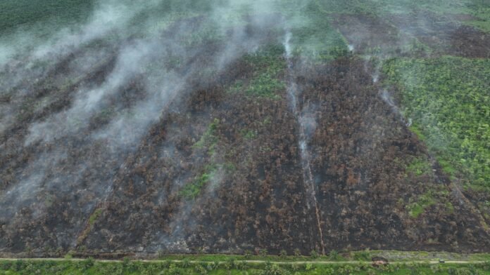 Luas Karhutla di Nagan Raya Capai 26 Hektare, Petugas Masih Berjibaku di Lapangan