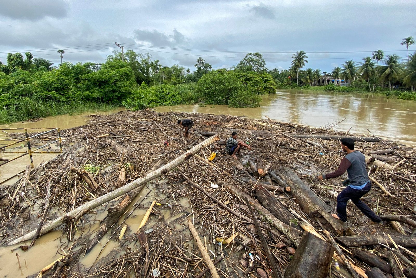 Foto Warga Bersihkan Gelondongan Kayu Yang Terbawa Banjir Di Aceh Utara