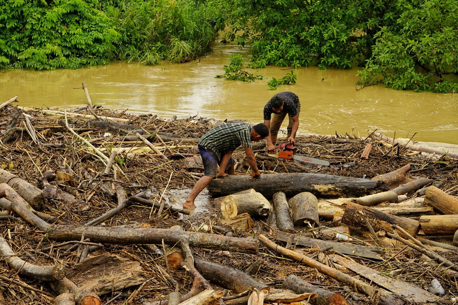 Foto Warga Bersihkan Gelondongan Kayu Yang Terbawa Banjir Di Aceh Utara