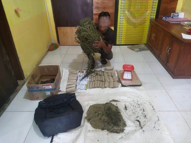 Polsek Manyak Payed Ringkus Bandar Narkoba, 4,5 Kilogram Ganja Diamankan