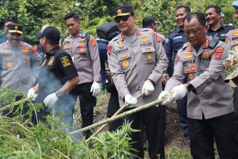 Kapolda Aceh: Pemusnahan 11 Hektar Ladang Ganja Selamatkan 5 Juta Jiwa