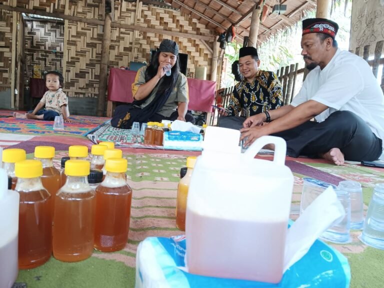 Syech Fadhil Kunjungi Tapak Lebah di Aceh Tenggara, Ada Apa?