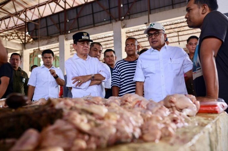 Jelang Lebaran, Pj Gubernur Aceh Pantau Stok dan Harga Pangan di Pasar