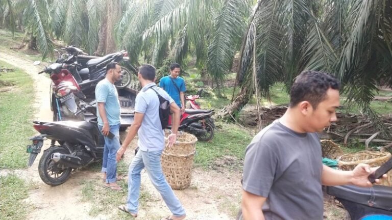 Polisi Gerebek Lokasi Judi Sabung Ayam, Pelaku Melarikan Diri